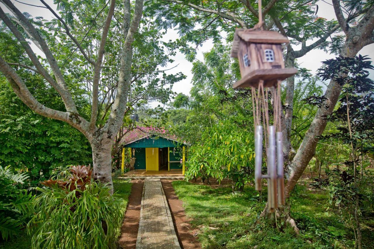 Villa Anacahuita, Limonal Харабакоа Экстерьер фото